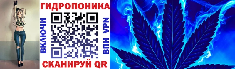 Цена Яблоновский А ПВП KRAKEN зеркало МЕФ