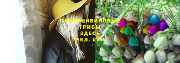 мет Сатка